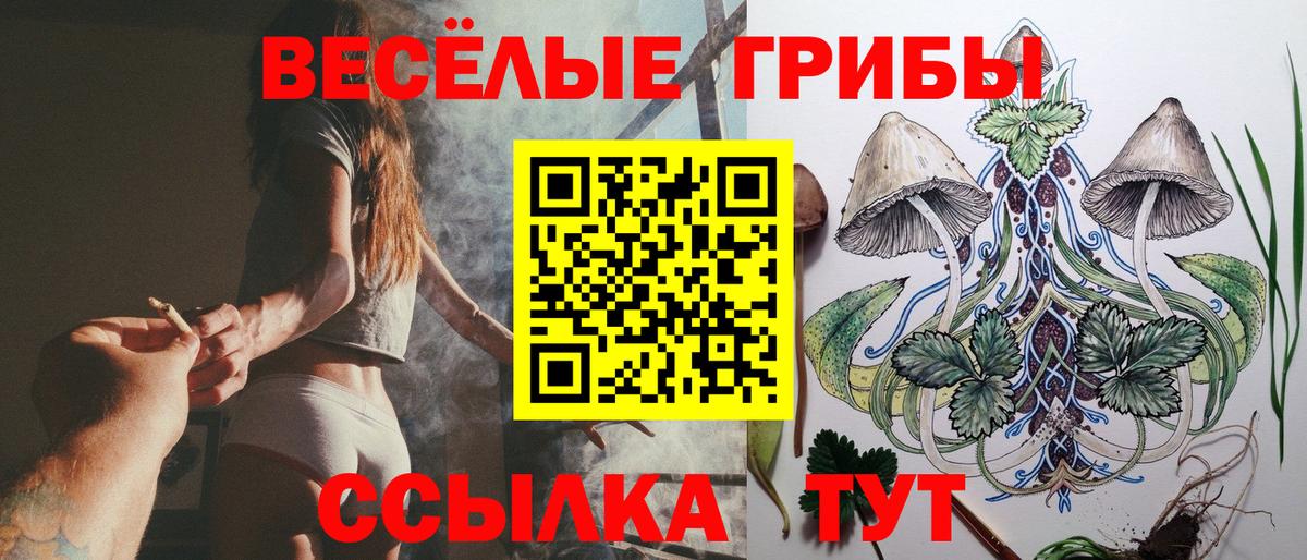 Галлюциногенные грибы Cubensis Рассказово