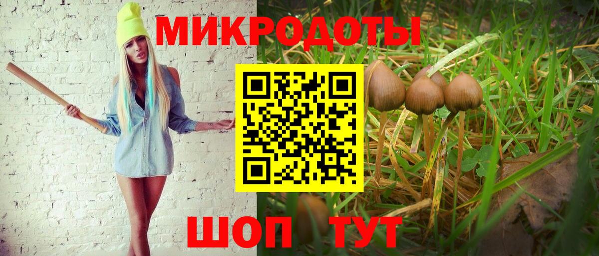 Псилоцибиновые грибы мицелий  Псилоцибиновые грибы GOLDEN TEACHER  Рассказово  Вход с VPN 